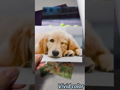 एप्सन / कैनन / एचपी वाइड फॉर्मेट प्रिंटर के लिए प्रीमियम लस्टर फोटो पेपर रोल